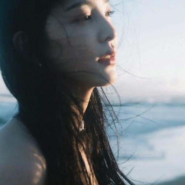 钢炽之芯